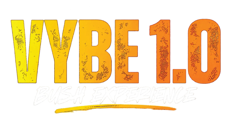Vibe 1.0